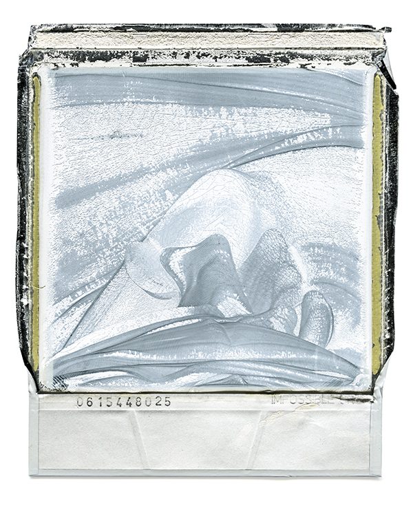 Polaroid Back 39 by William Meyer, Archival Giclée Print on Canvas