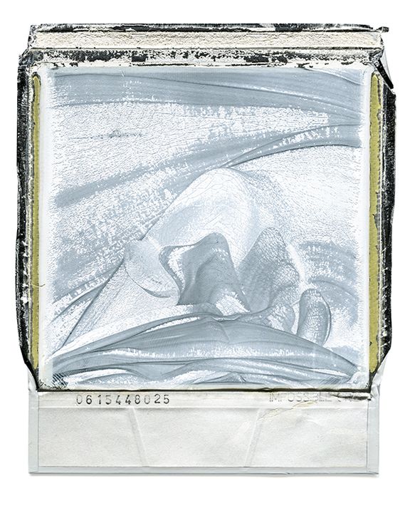 Polaroid Back 39 by William Meyer, Archival Giclée Print on Canvas