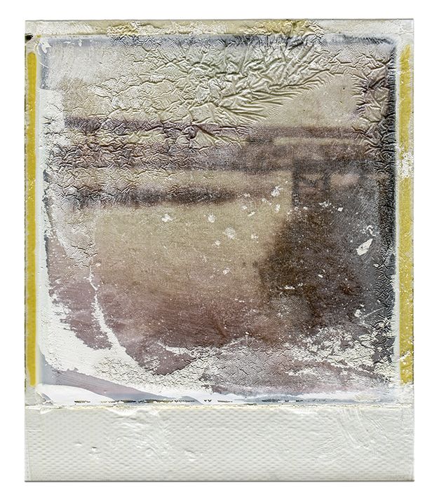 Polaroid Dissection by William Meyer, Archival Giclée Print on Canvas