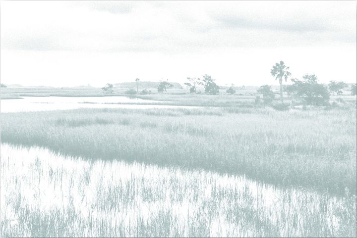 Sage Marsh by The Artistree Collective, Giclée on canvas